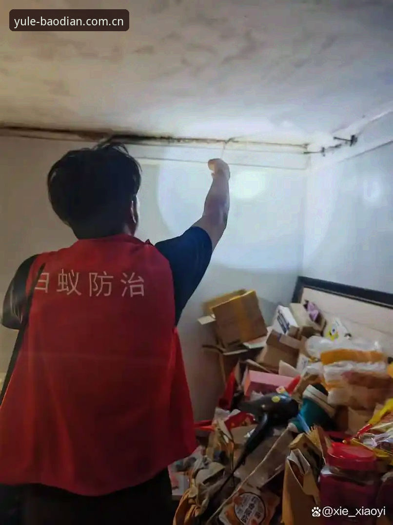 安全投注全面对比：澳门十大娱乐官网入口平台真人视讯赔率 vs 需要警惕的几个陷阱